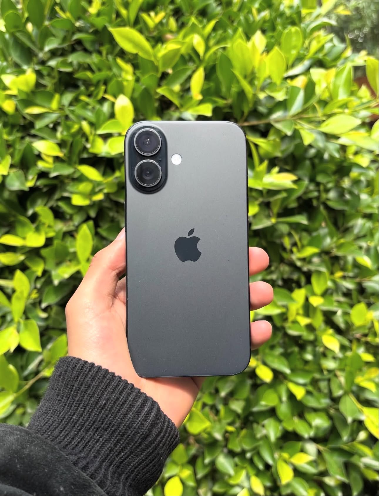IPhone 16 Plus, Ophalen, 128 GB, Nieuw, 100 %