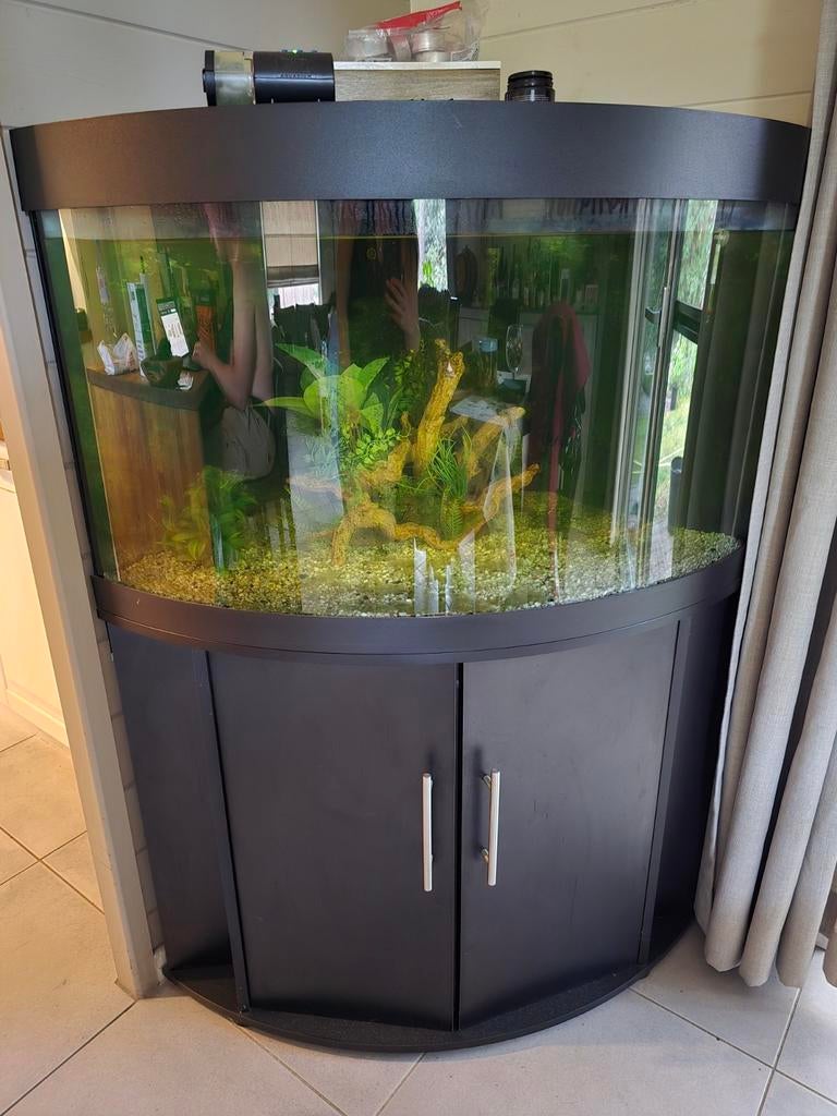 Aquarium (coin) tout compris, Enlèvement