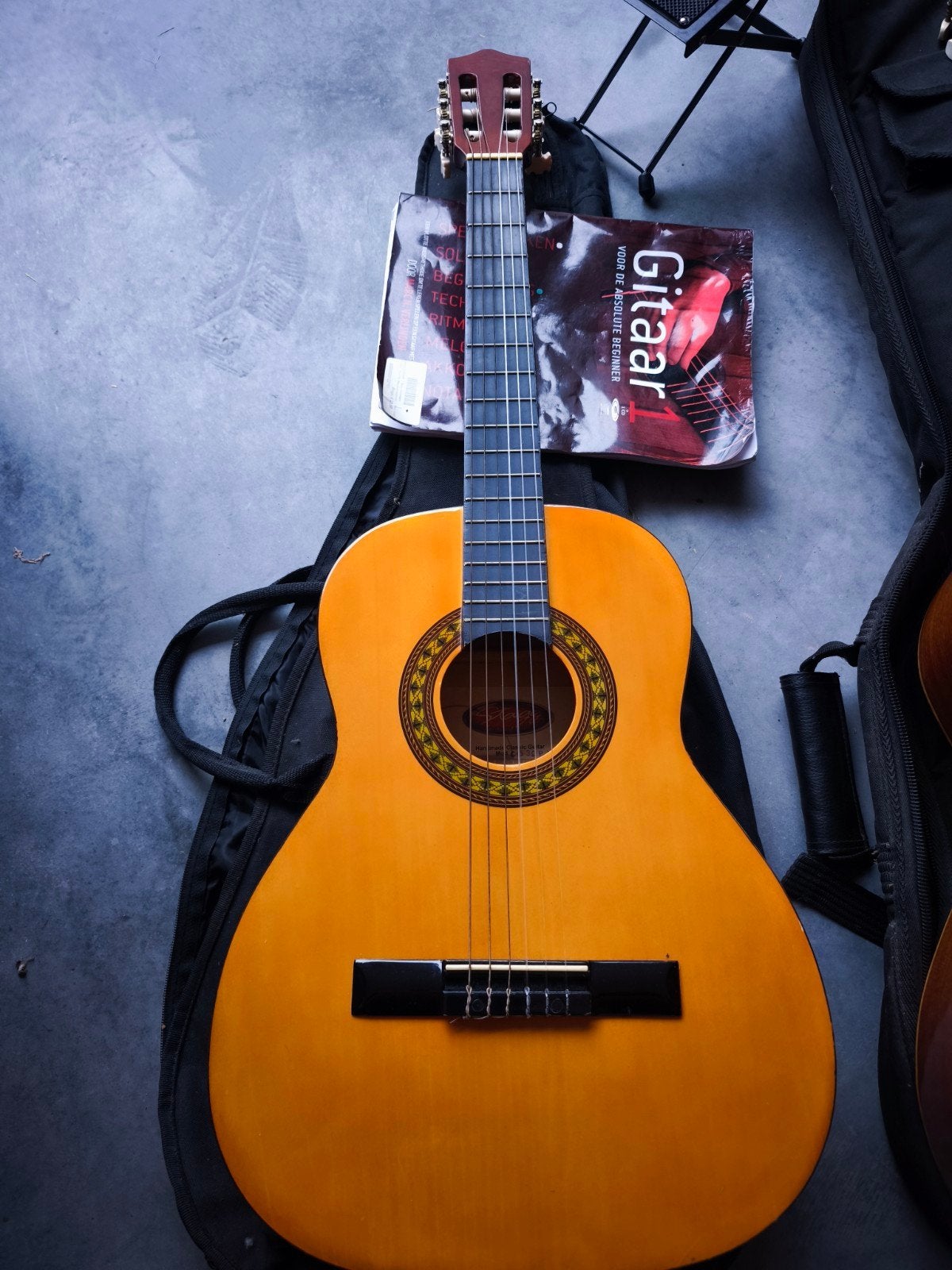 Gitaar Stagg, Enlèvement