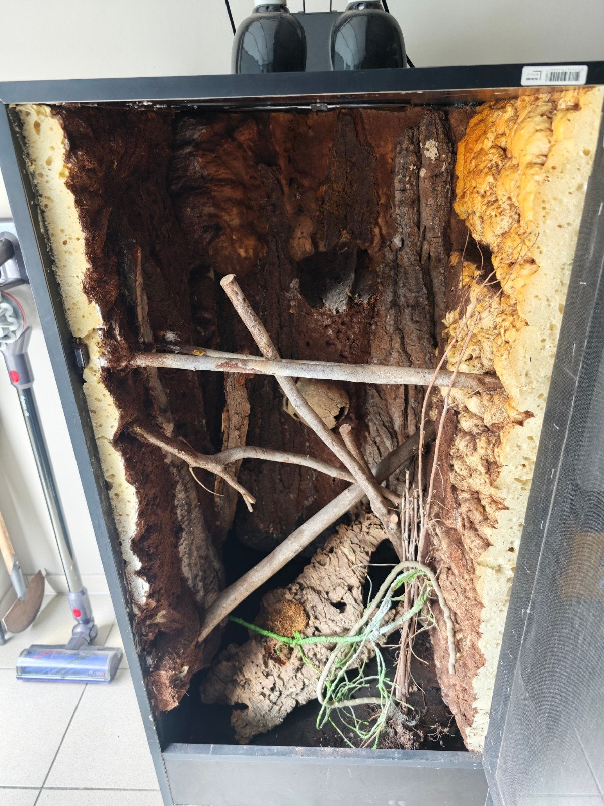 zelfbouw terrarium, Dieren en Toebehoren, Ophalen