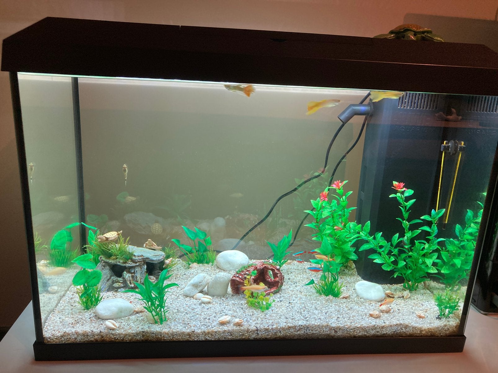 Vis aquarium Juwel 70L te koop, Decoratie, Comme neuf, Enlèvement, Chauffage