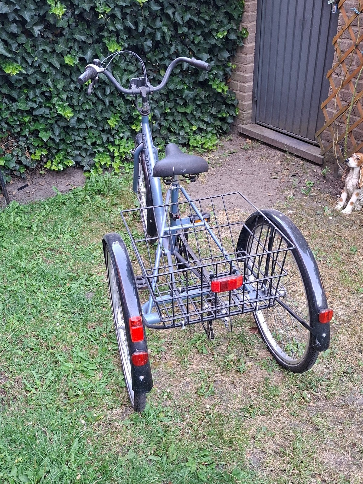 3 Wieler fiets, Fietsen en Brommers, Fietsen | Driewielfietsen, Ophalen