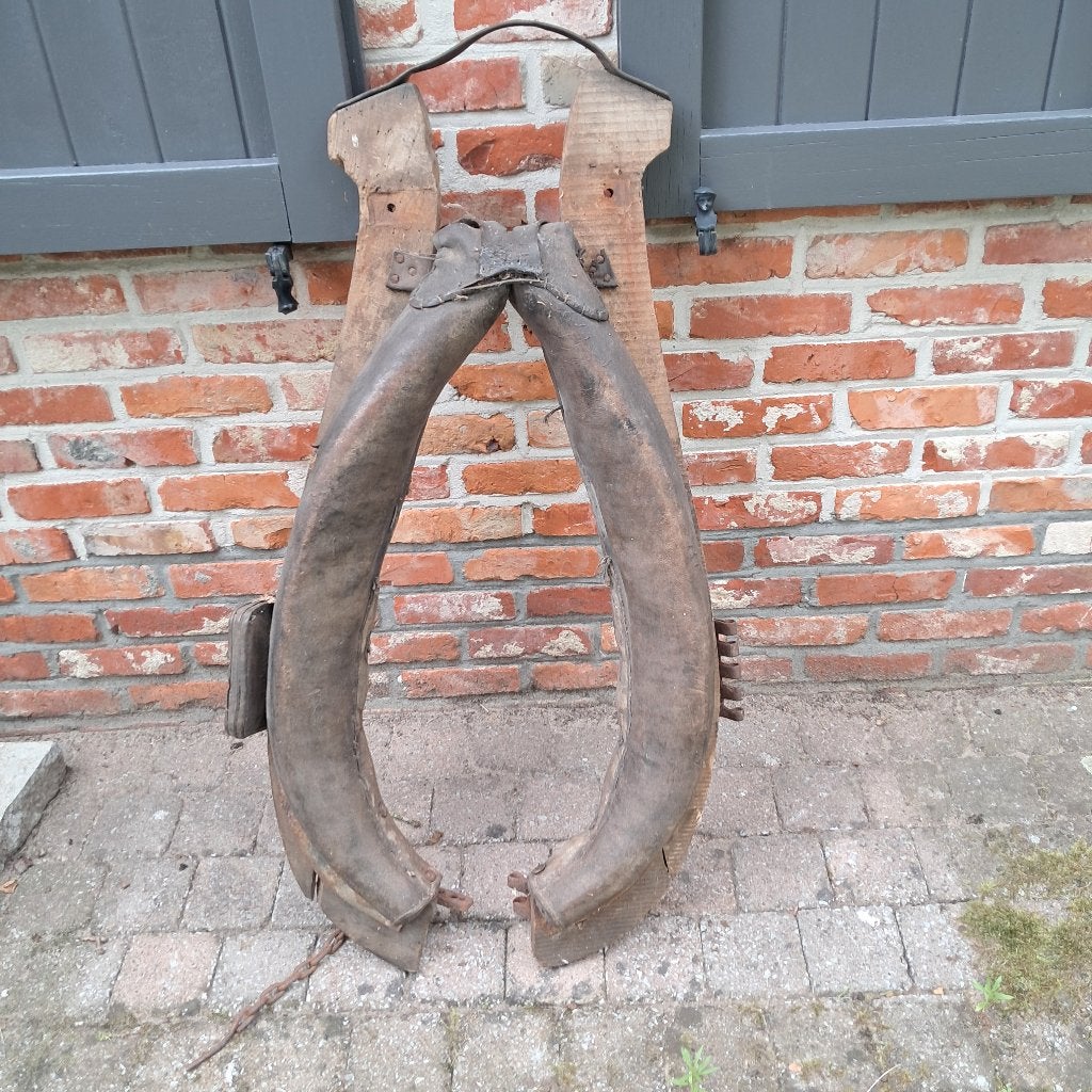 Paarden halster, Dieren en Toebehoren