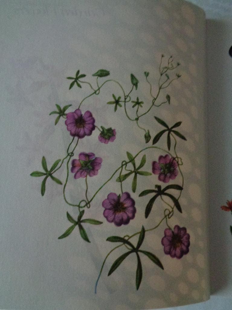 livres - livres de fleurs et livres d'art, Livres, Enlèvement, Comme neuf, Autres sujets/thèmes