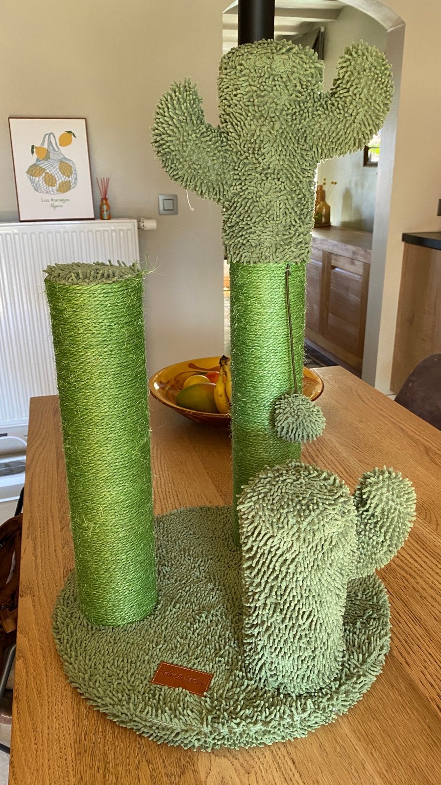 Krabpaal cactus, Dieren en Toebehoren, Ophalen, Gebruikt