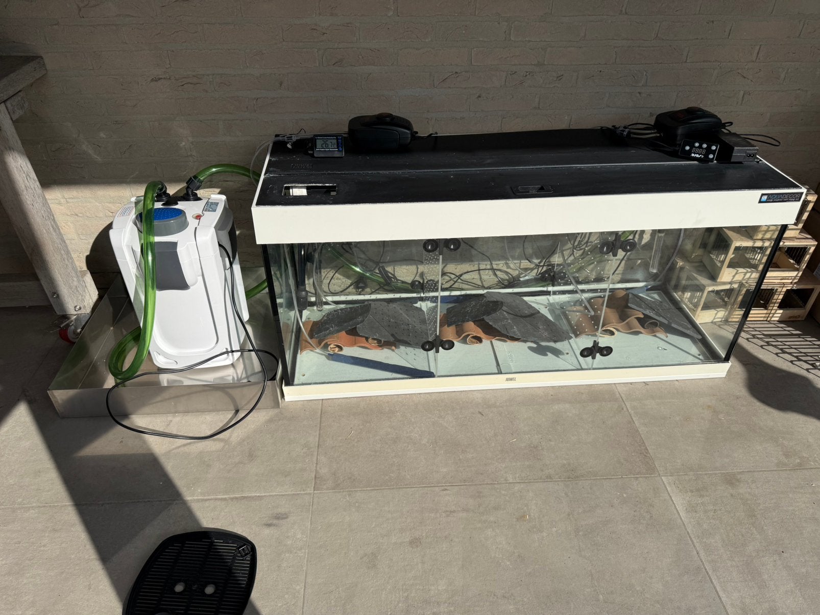 Complete Kweekinstallatie voor L-nummers, vissen, aquarium, Pompe, Comme neuf, Enlèvement, Juwel