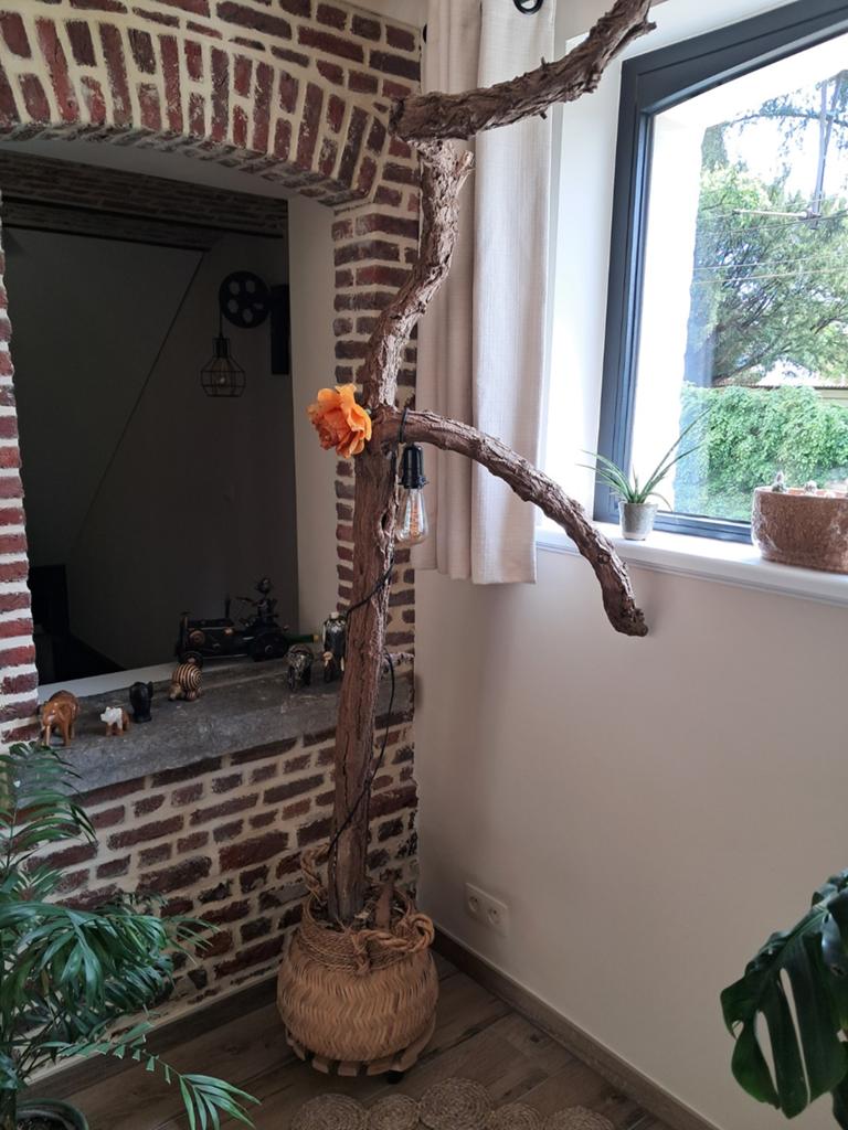 Boomstamlamp, Ophalen