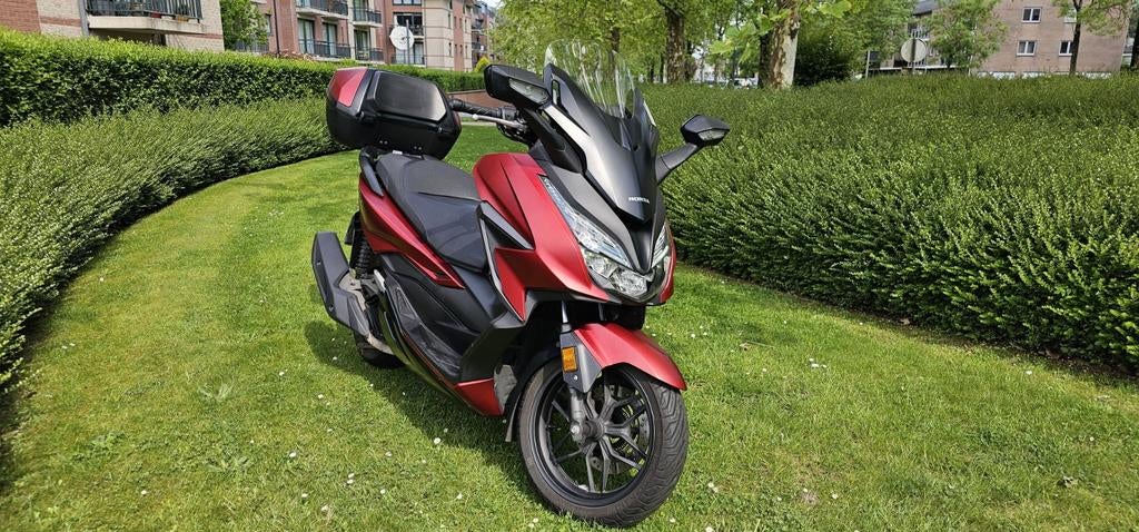 Honda Forza 125, Motos, Scooter, Occasion, Éclairage LED, 1 cylindre