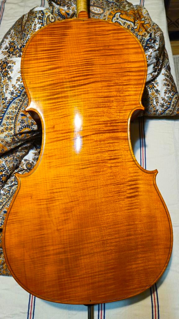 ​ Meestercello – Alin Stoica (2026) – Strijkstok inbegrepen, Ophalen, Nieuw, Met koffer, 4/4-cello
