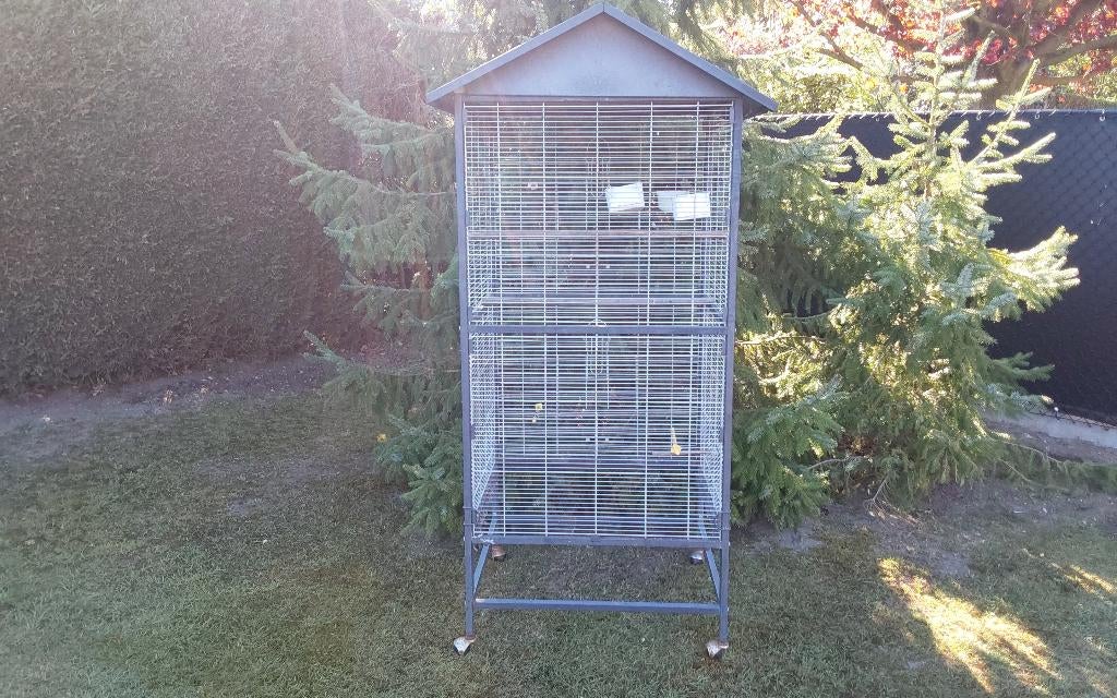 Vogelkooi, Plusieurs animaux, Perruche