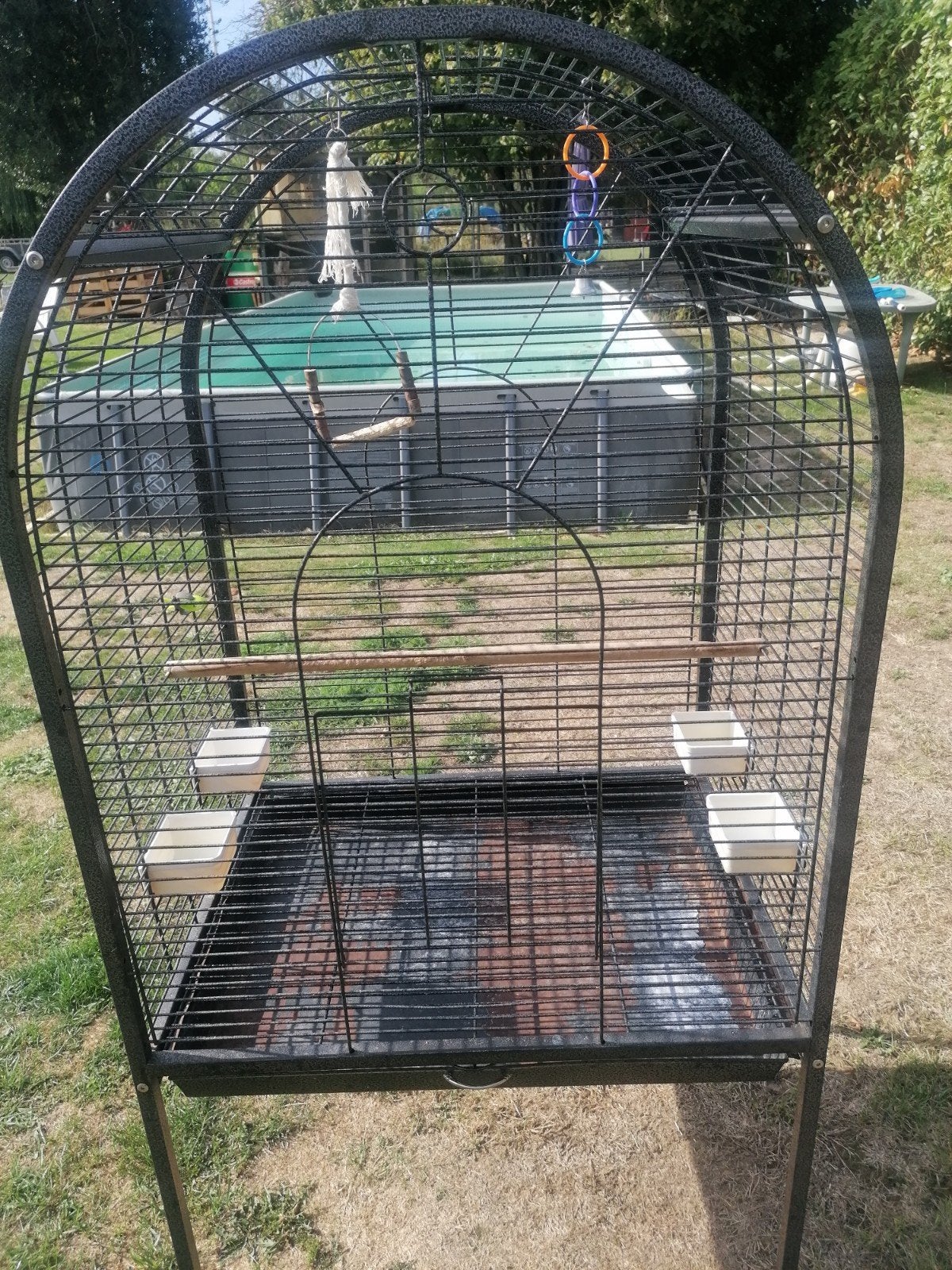 vogelkooi - parkieten kooi