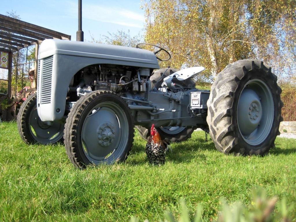tracteur Ferguson TED diesel, Ophalen, Overige merken