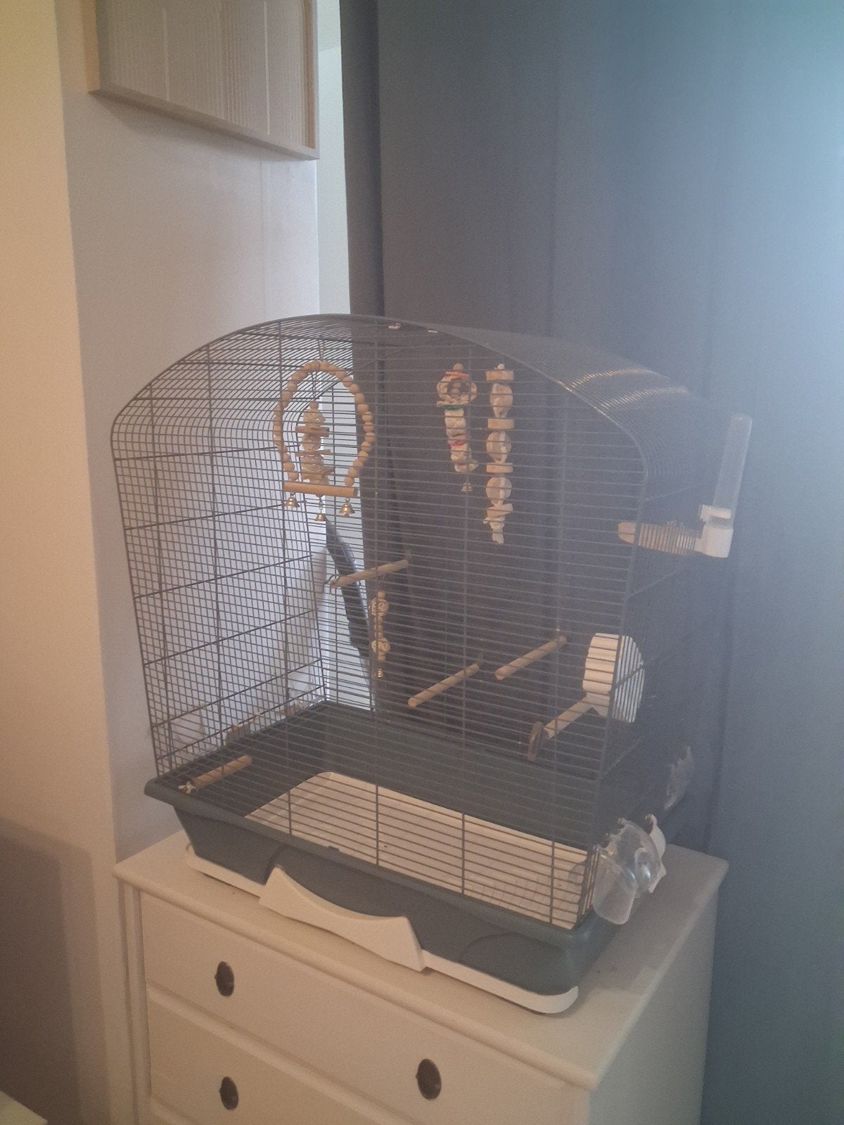 Cage complète comme neuve + accessoires jouets et nourriture