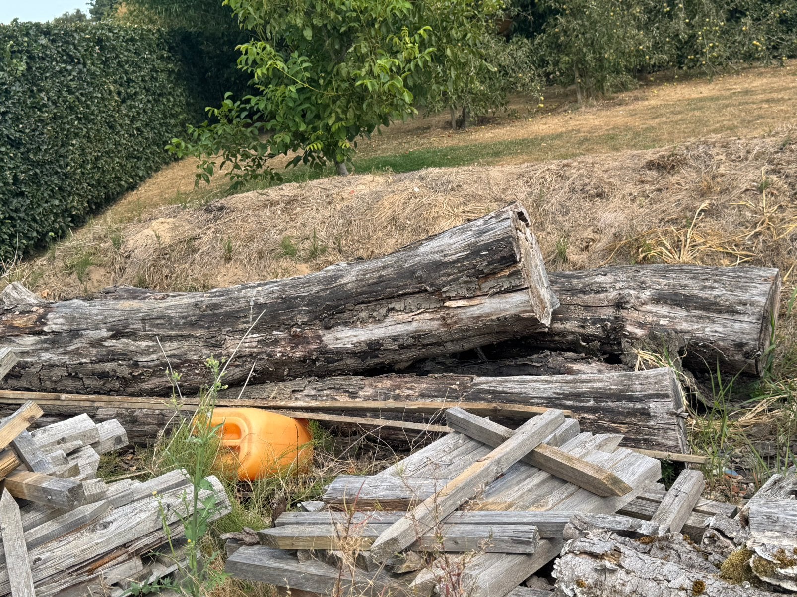 4 boomstammen, Tuin en Terras, Brandhout, Ophalen