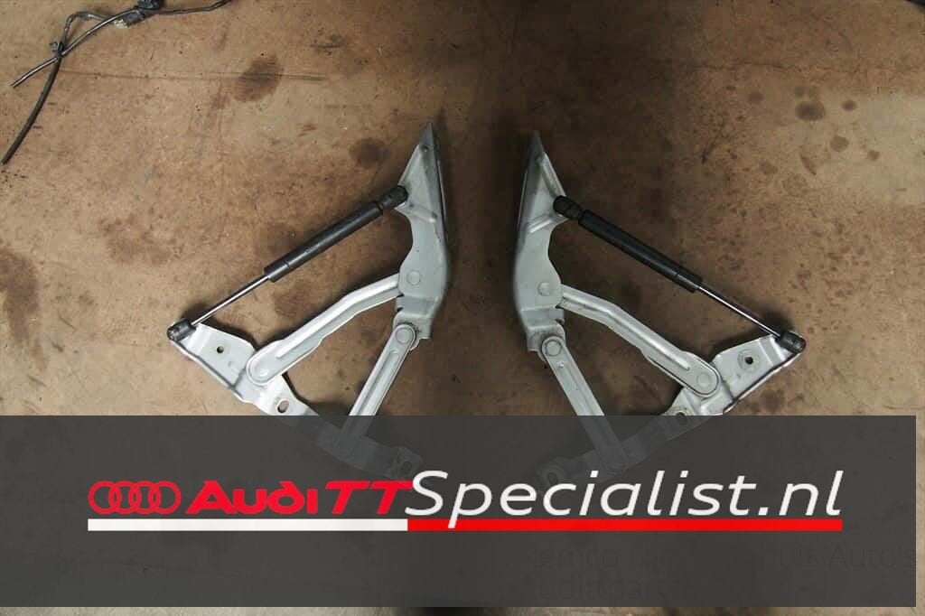 Motorkap scharnierset compeet zilver Audi TT MK1 8N, -, Audi, Utilisé, -