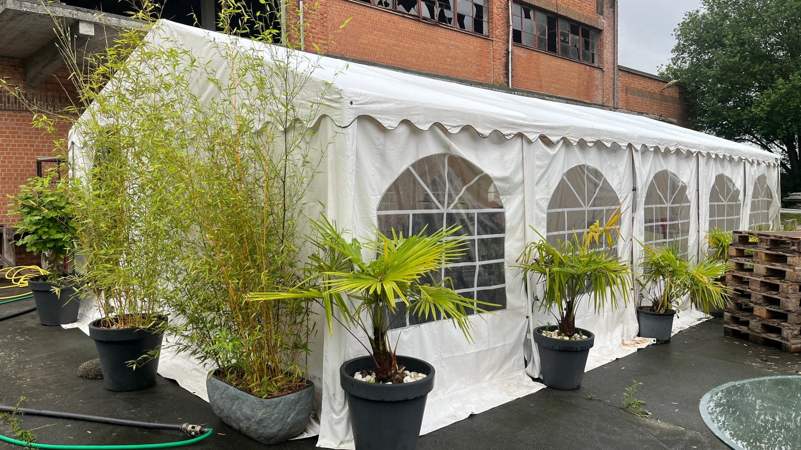 Grote partytent 10x5m PVC, galva kader, Tuin en Terras, Partytenten, Ophalen, Partytent