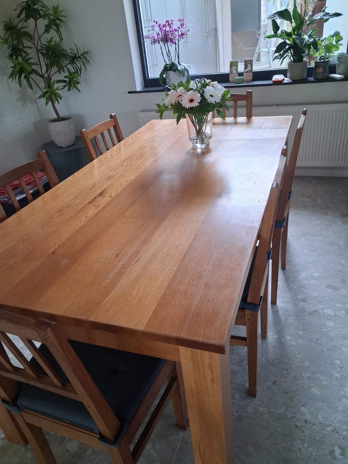 Massief eiken eetkamerset , tafel en 6 stoelen, Enlèvement, Rectangulaire, 150 à 200 cm, 50 à 100 cm
