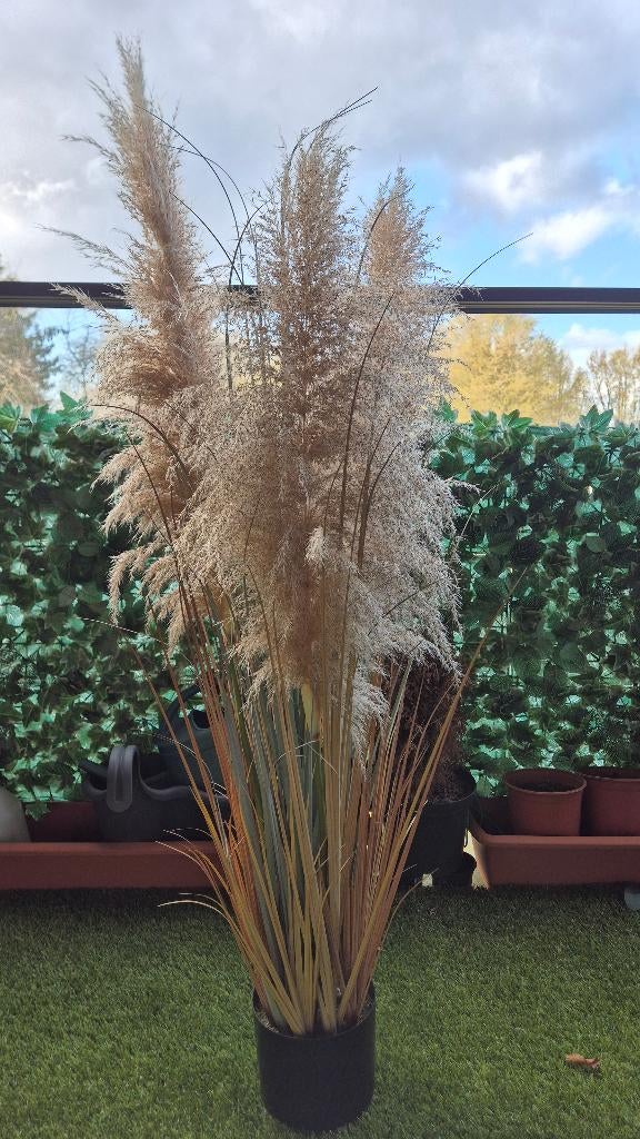 Artificial Pampas Grass in Pot – Boho Home Decor, Enlèvement, Utilisé