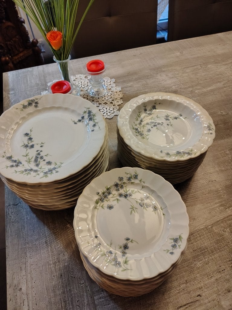 Eetservies 36 stuks Nieuw, Enlèvement, Neuf, Assiettes(s)