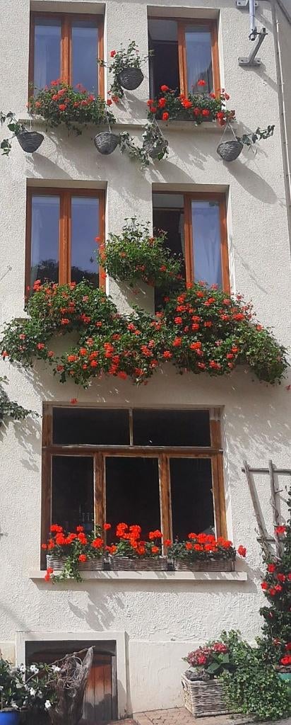 REDUCTION:  à Bouillon – été a GoldenLion A DEBUT EUR 59, Propriétaire, 9 personnes, Ville, Lit enfant