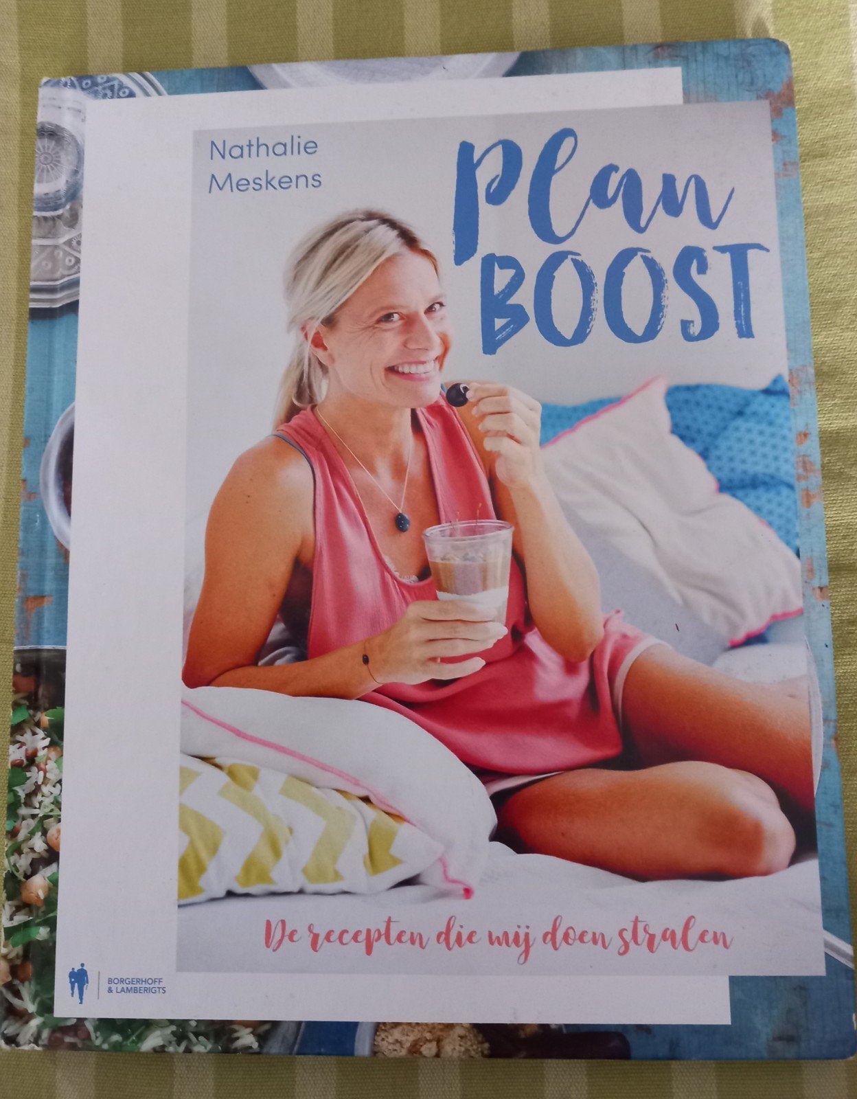 boek - Nathalie Meskens - plan boost -> 4€, Boeken, Ophalen, Zo goed als nieuw, Gezondheid en Conditie, Nathalie Meskens