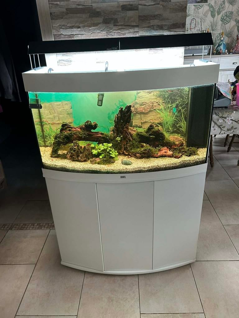 Aquarium complet 180 litres, Ophalen, Zo goed als nieuw, Chihiros