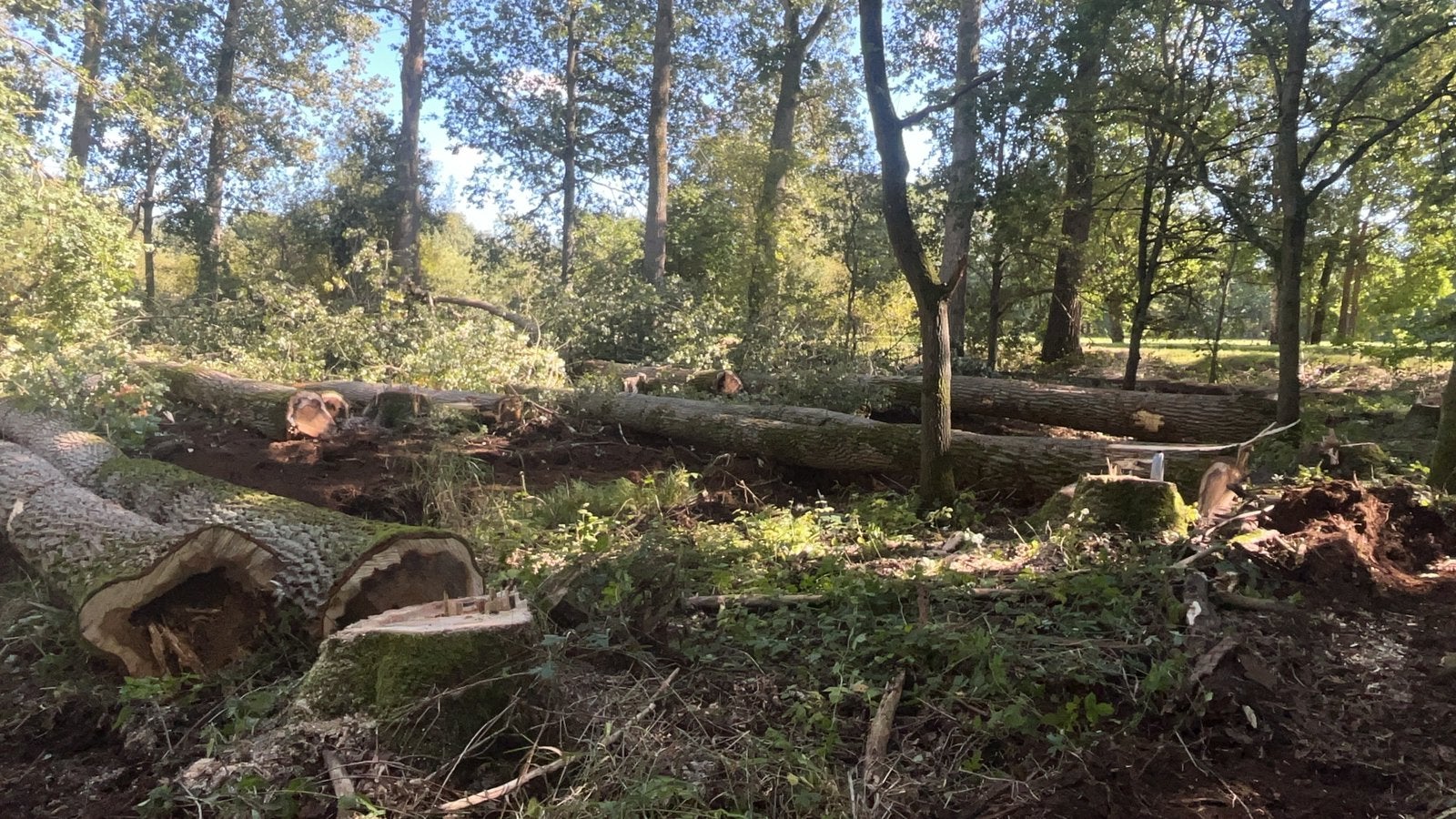 Bosbouw diensten en vrijmaken (bouw)gronden, Ophalen, Overige typen