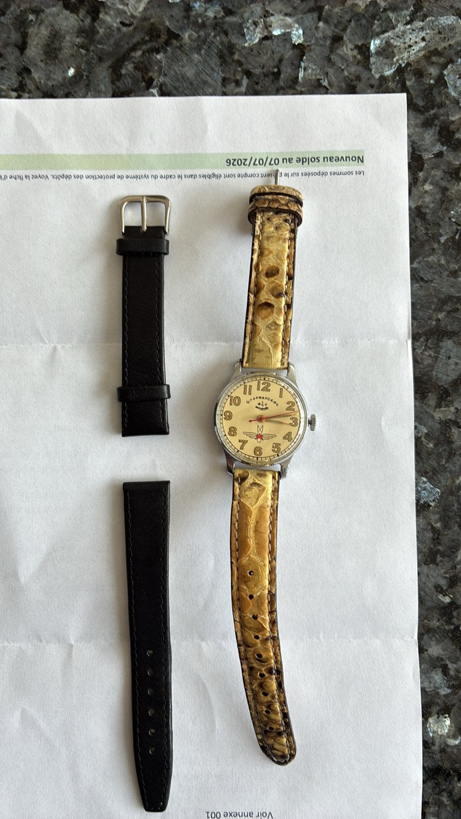 Montre Gagarin strumanskie annee 62 lune, Bijoux, Sacs & Beauté, Montres | Anciennes | Antiquités, Enlèvement ou Envoi