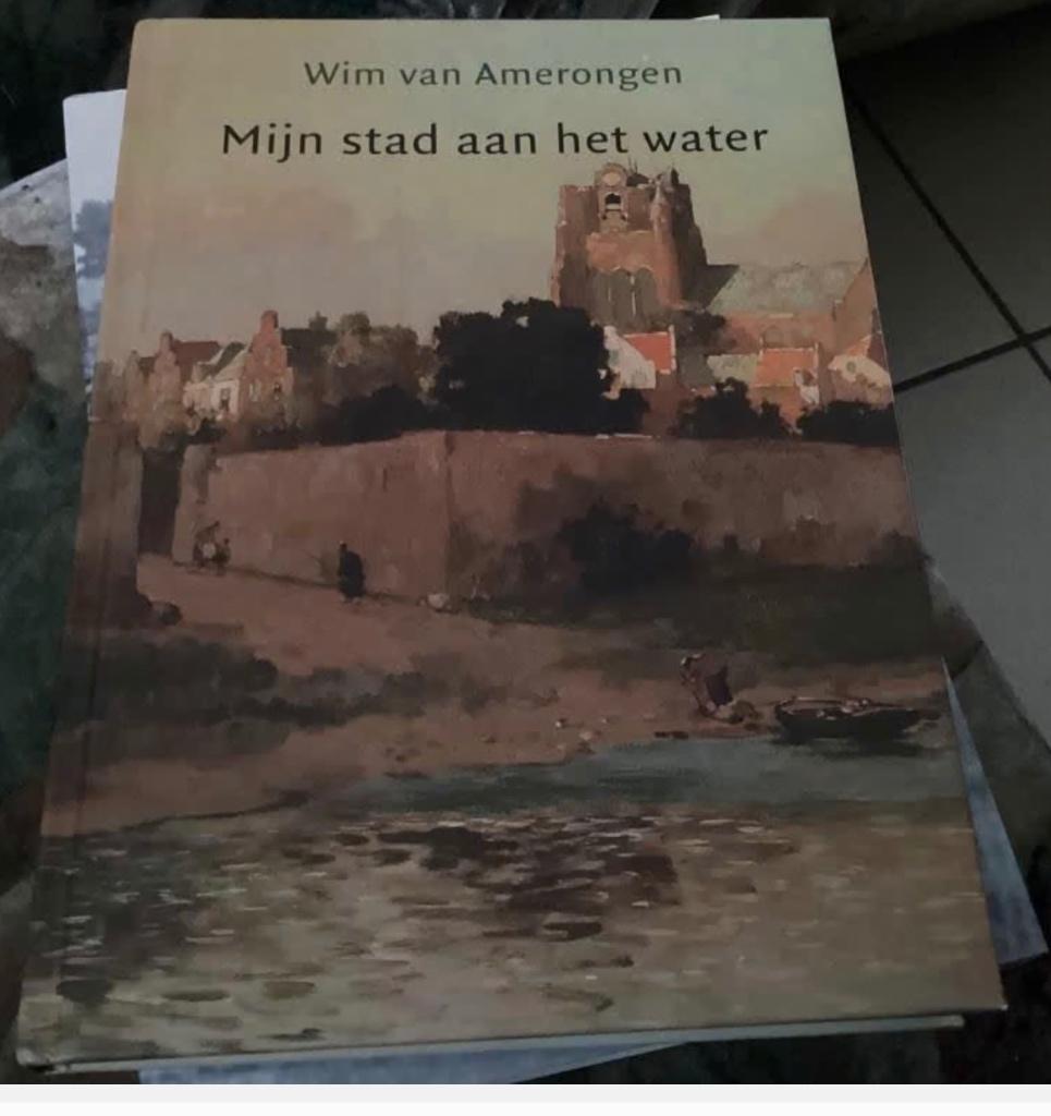 Mijn stad aan het water (Wijk bij Duurstede), Ophalen of Verzenden