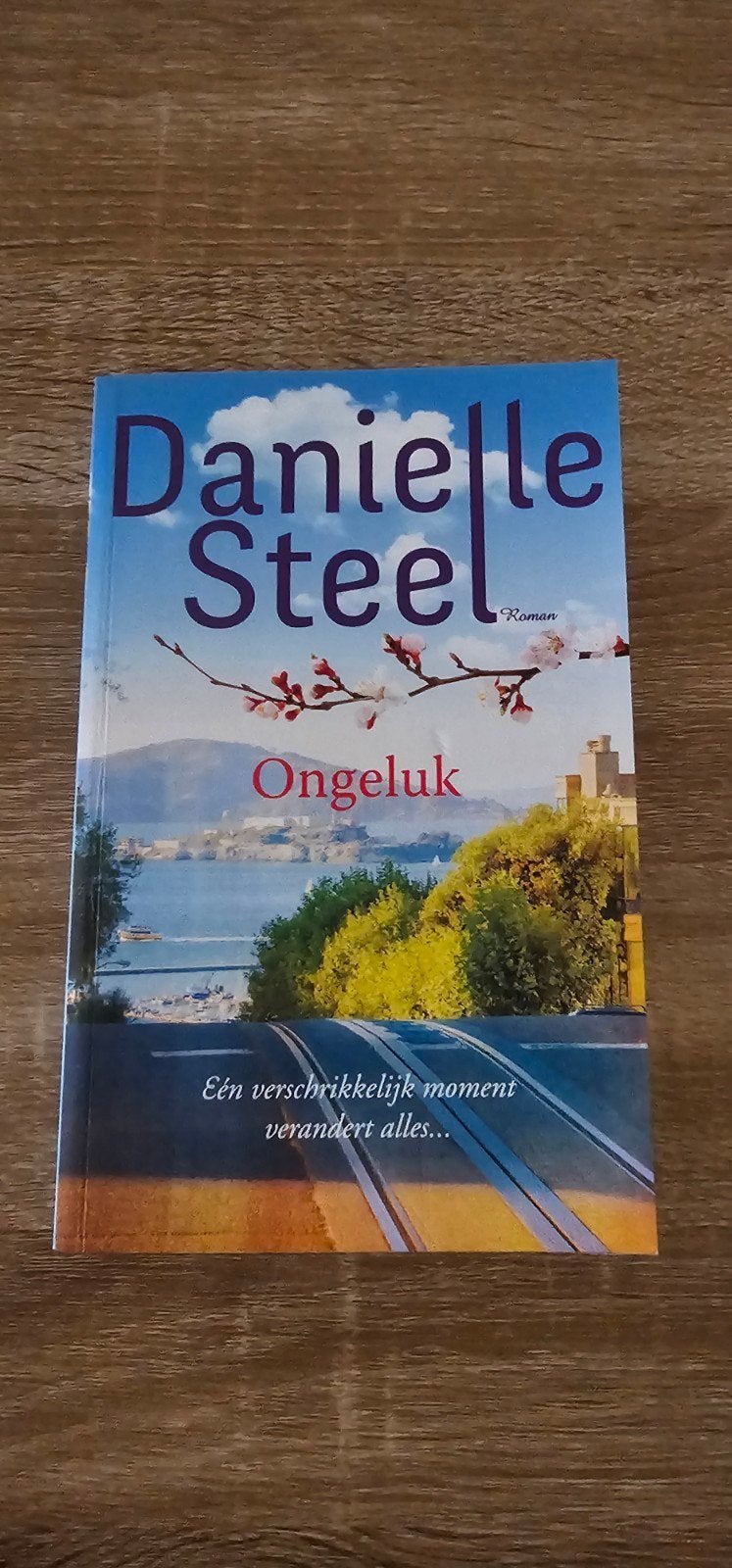 Danielle Steel - Ongeluk, Boeken, Ophalen of Verzenden, Danielle Steel
