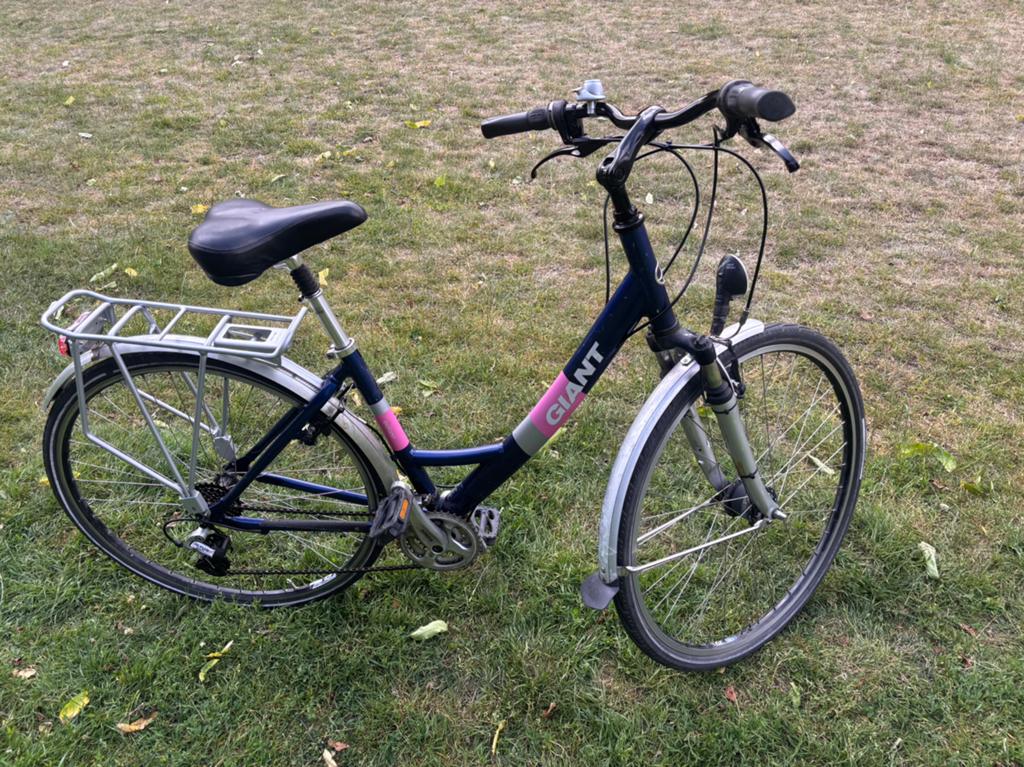 Damesfiets, Ophalen, Velgrem, 47 tot 50 cm, Versnellingen