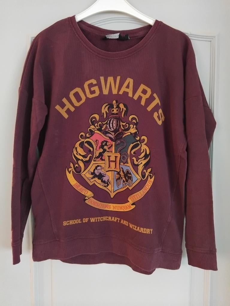 Sweater harry potter 38, Ophalen of Verzenden, Gedragen, Maat 38/40 (M)