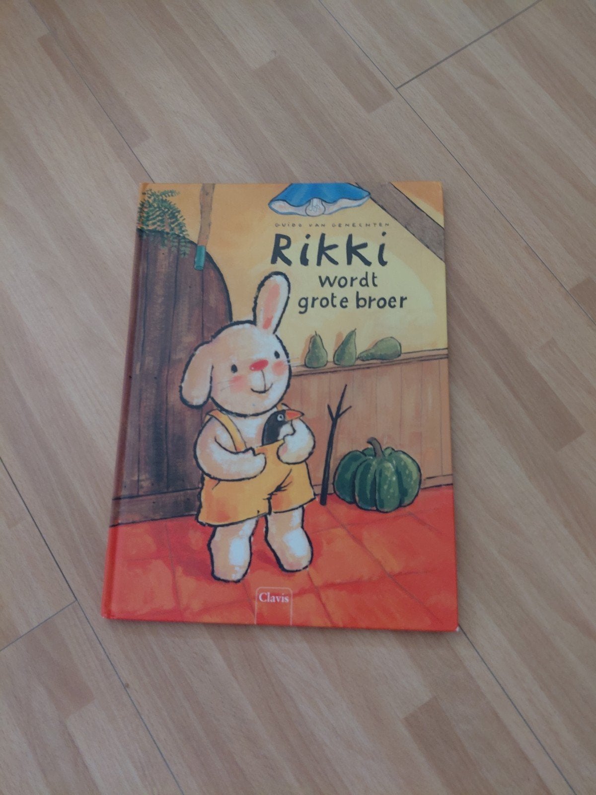 Guido Van Genechten - Rikki wordt grote broer, Ophalen, Guido Van Genechten