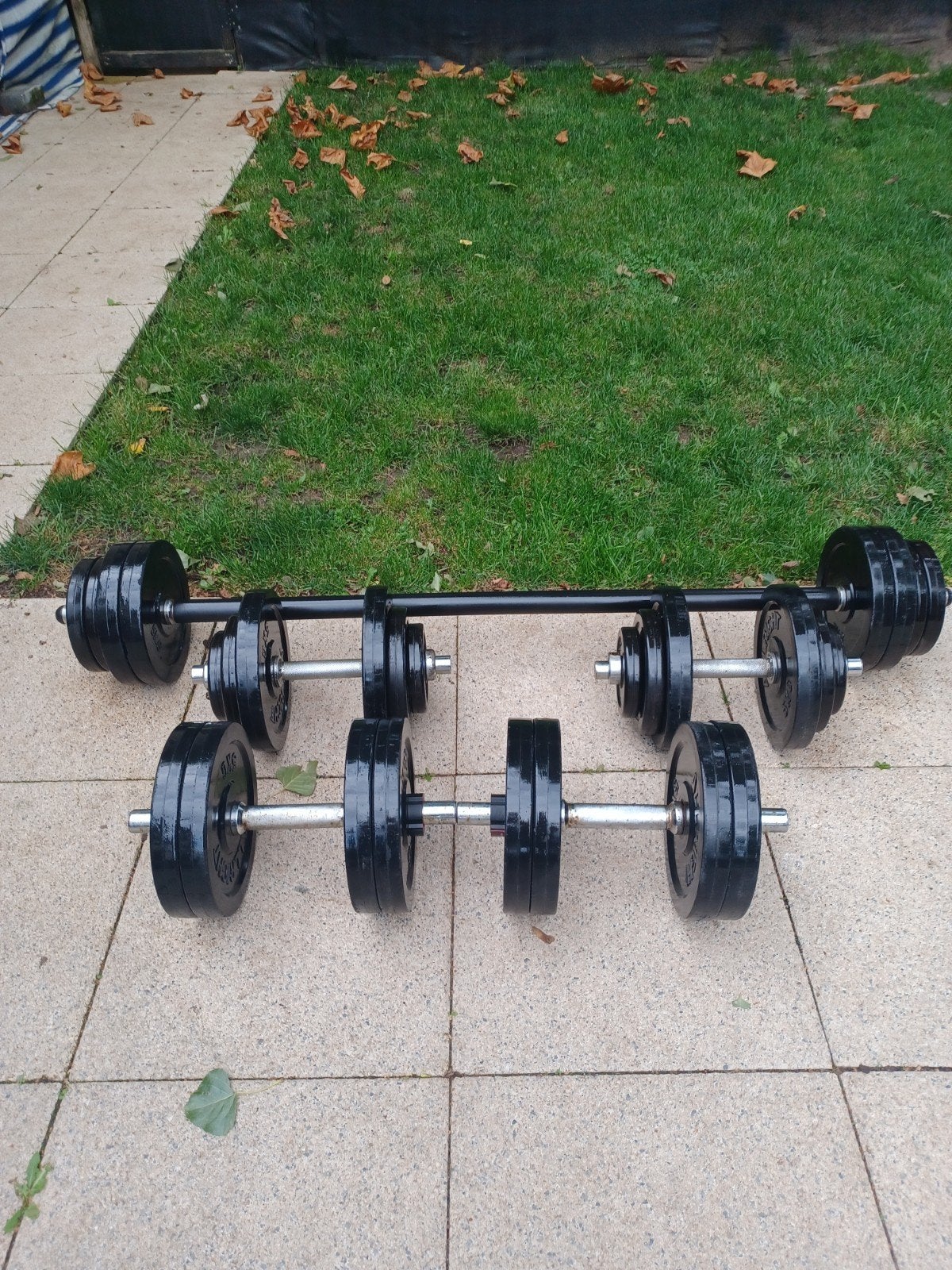 Professionele halters en halterschijven van gietijzer, Ophalen, Gebruikt, Benen, Dumbbell