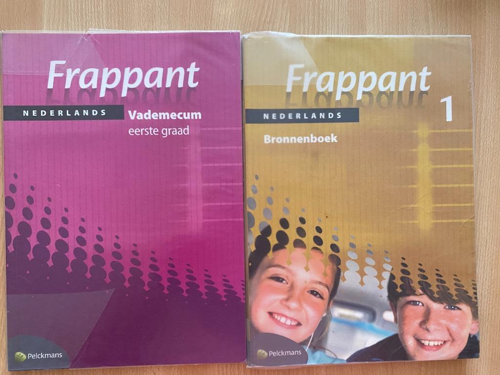 Frappant Nederlands, Boeken, Schoolboeken, Ophalen, Zo goed als nieuw, ASO, Nederlands