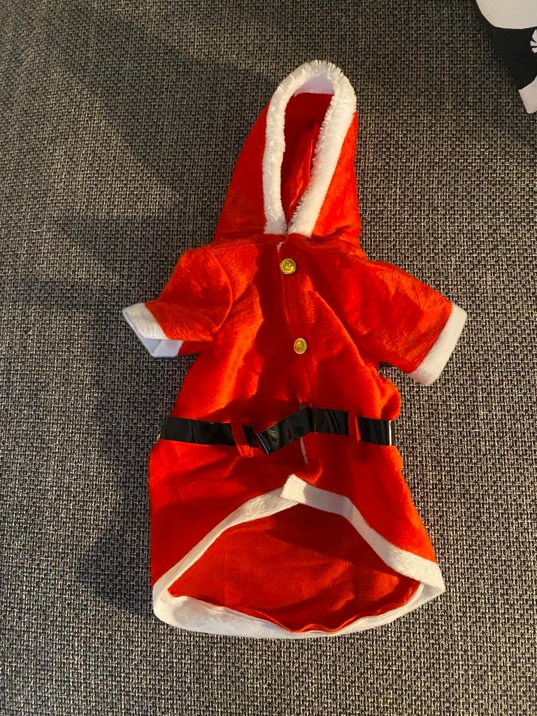Costume noel petit chien, Enlèvement ou Envoi, Comme neuf, Costume pour chien