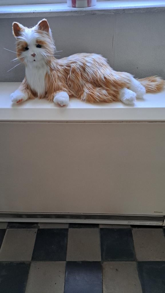 Chat mobile et miaule, Enlèvement