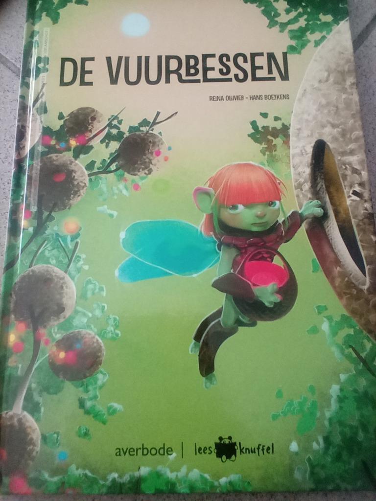 boek de vuurbessen Reina Olivier Hans boeykens, Livres, Enlèvement ou Envoi