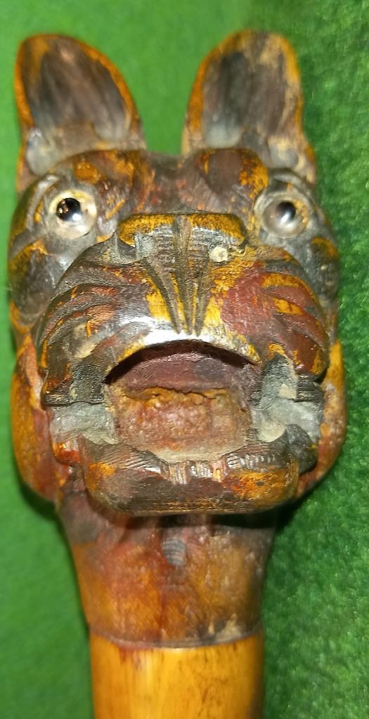 RIET 1900 BULLDOG HOOFD GESNEDEN HOUT/GLAZEN OGEN, Antiek en Kunst, Ophalen of Verzenden