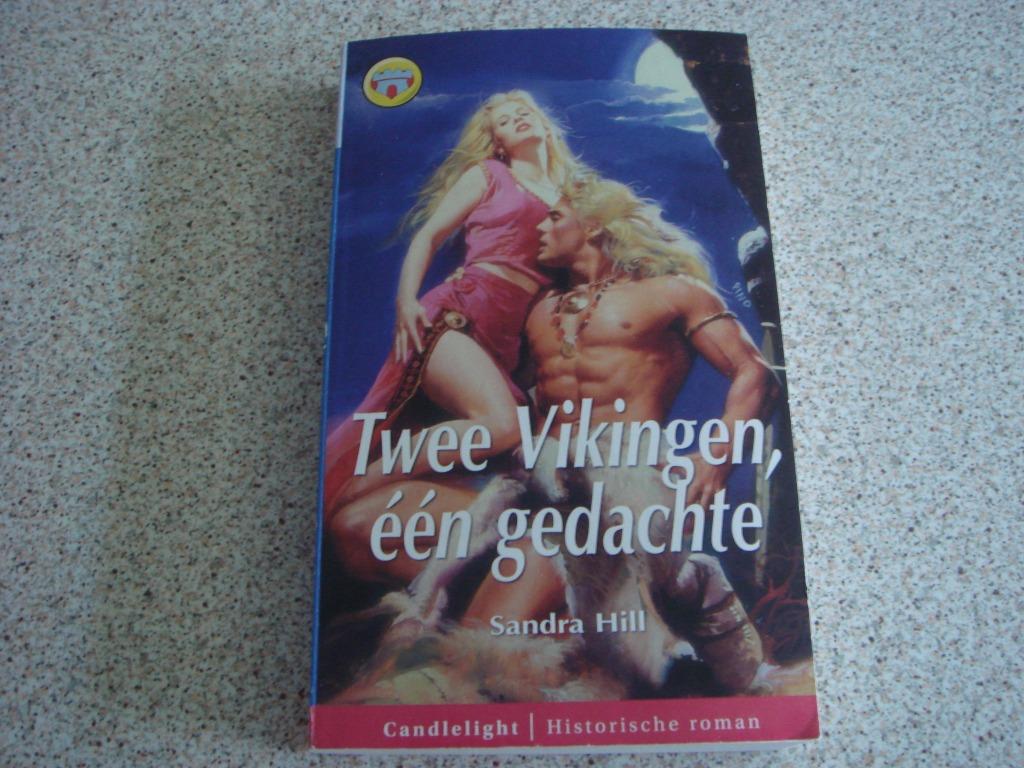Candlelight roman - Twee Vikingen, één gedachte- Sandra Hill, Boeken, Ophalen of Verzenden