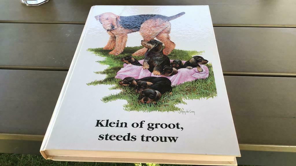 Klein of groot,steeds trouw (e), Enlèvement, Comme neuf, Livre d'images