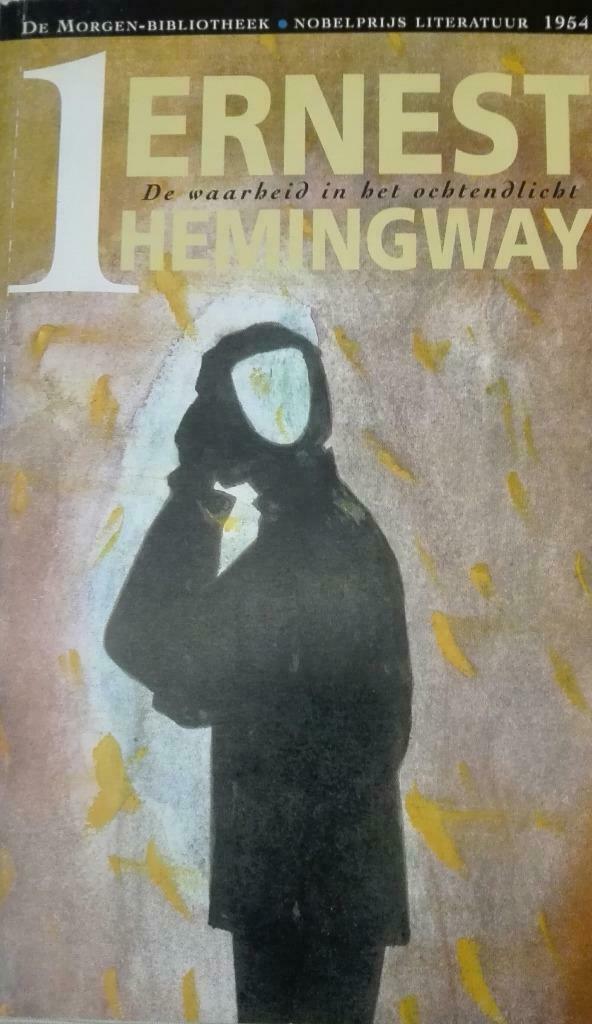 BOEK - DE WAARHEID IN HET OCHTENDLICHT, Enlèvement ou Envoi, Comme neuf