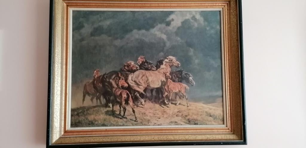 Wilde paarden, Ophalen