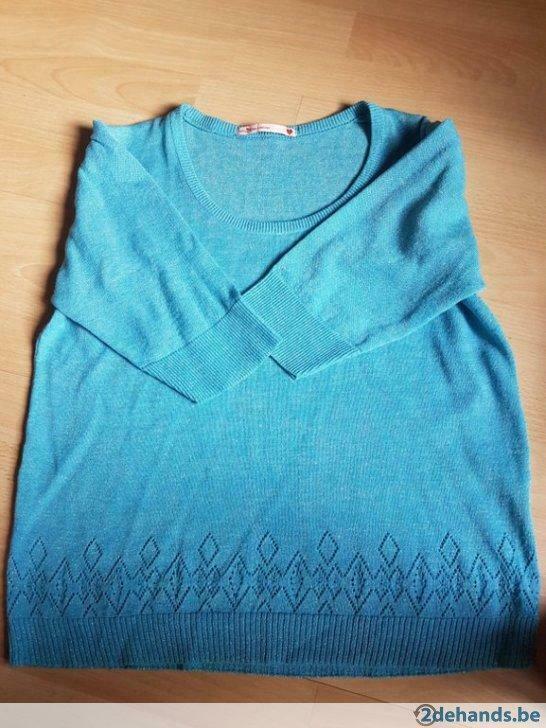Schattig truitje Lucy has a Secret L, Kleding | Dames, Verzenden, Gedragen, Maat 42/44 (L), Blauw