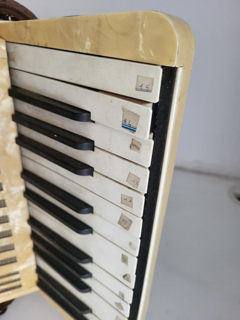 Hohner Student 2, Muziek en Instrumenten, Accordeons, Ophalen, Gebruikt, Hohner