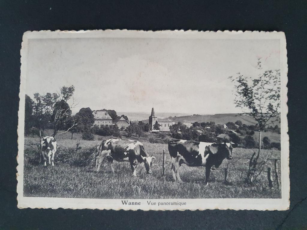Wanne Trois-Ponts Vue panoramique Koe Vache, Verzamelen, Postkaarten | België, Gelopen, Luik, 1920 tot 1940, Ophalen of Verzenden