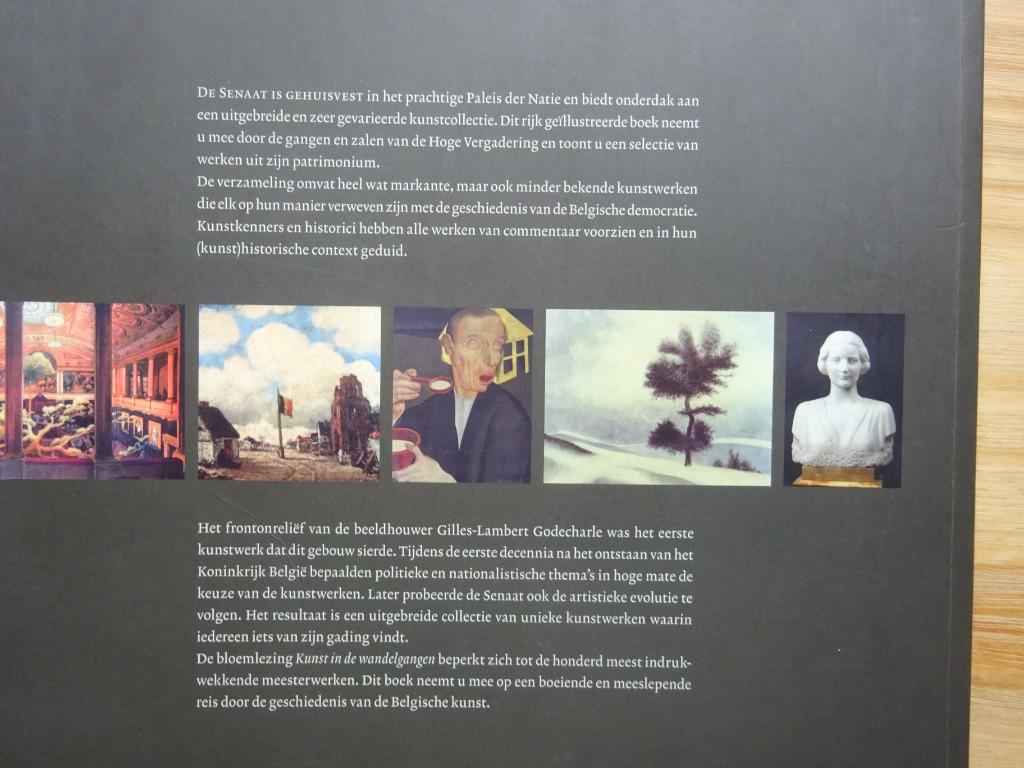Kunst in de wandelgangen van de senaat, 2006 Lannoo, Ophalen of Verzenden, Zo goed als nieuw, Schilder- en Tekenkunst
