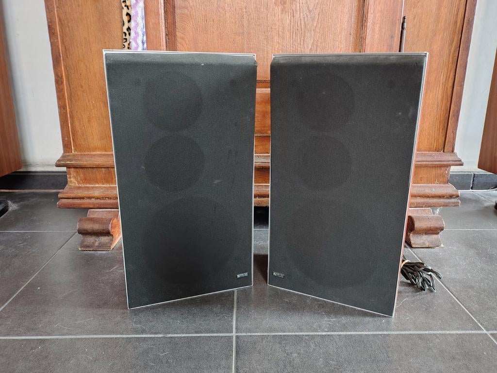 Beovox S30 type 6317, Enlèvement