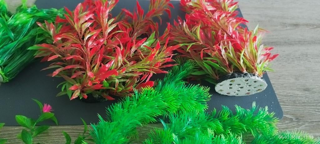 Kunstplanten voor grote aquarium, Enlèvement, Comme neuf, Aquarium d'eau douce rempli