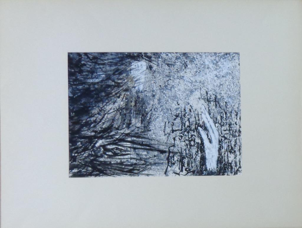 JAN VAERTEN / HAND + UIL / ORIGINEEL WERK / 50x65cm / SIG, Ophalen of Verzenden